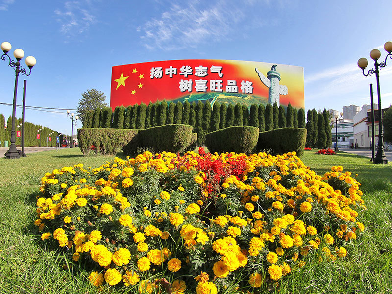 喜旺