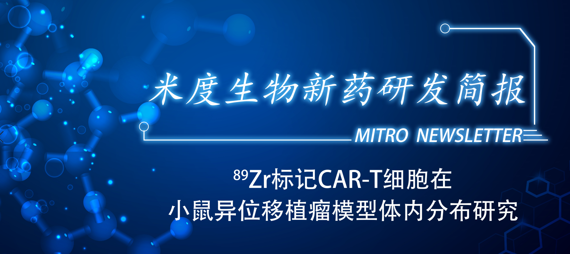 89Zr标记CAR-T细胞在小鼠异位移植瘤模型体内分布研究