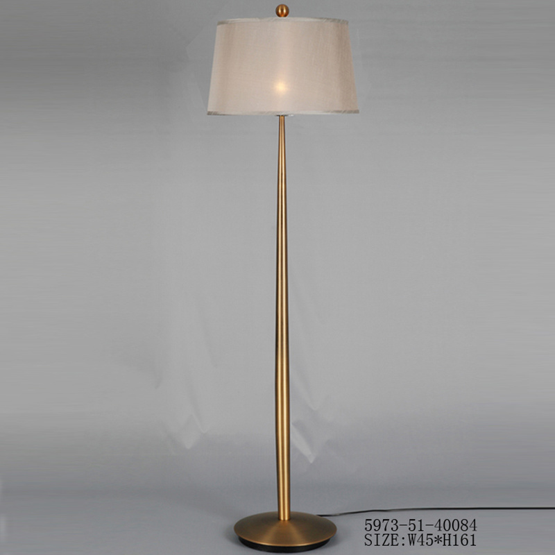 Bronze finishing Floor Lamp