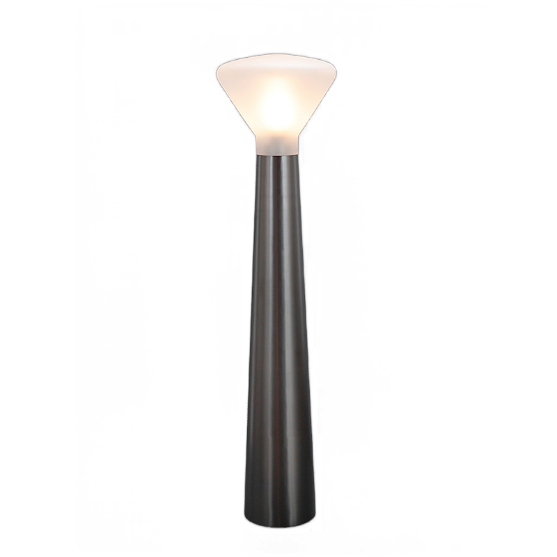 Minimalist Black Iron Floor Lamp with Cylindrical Glass Shade - Sleek Modern Design