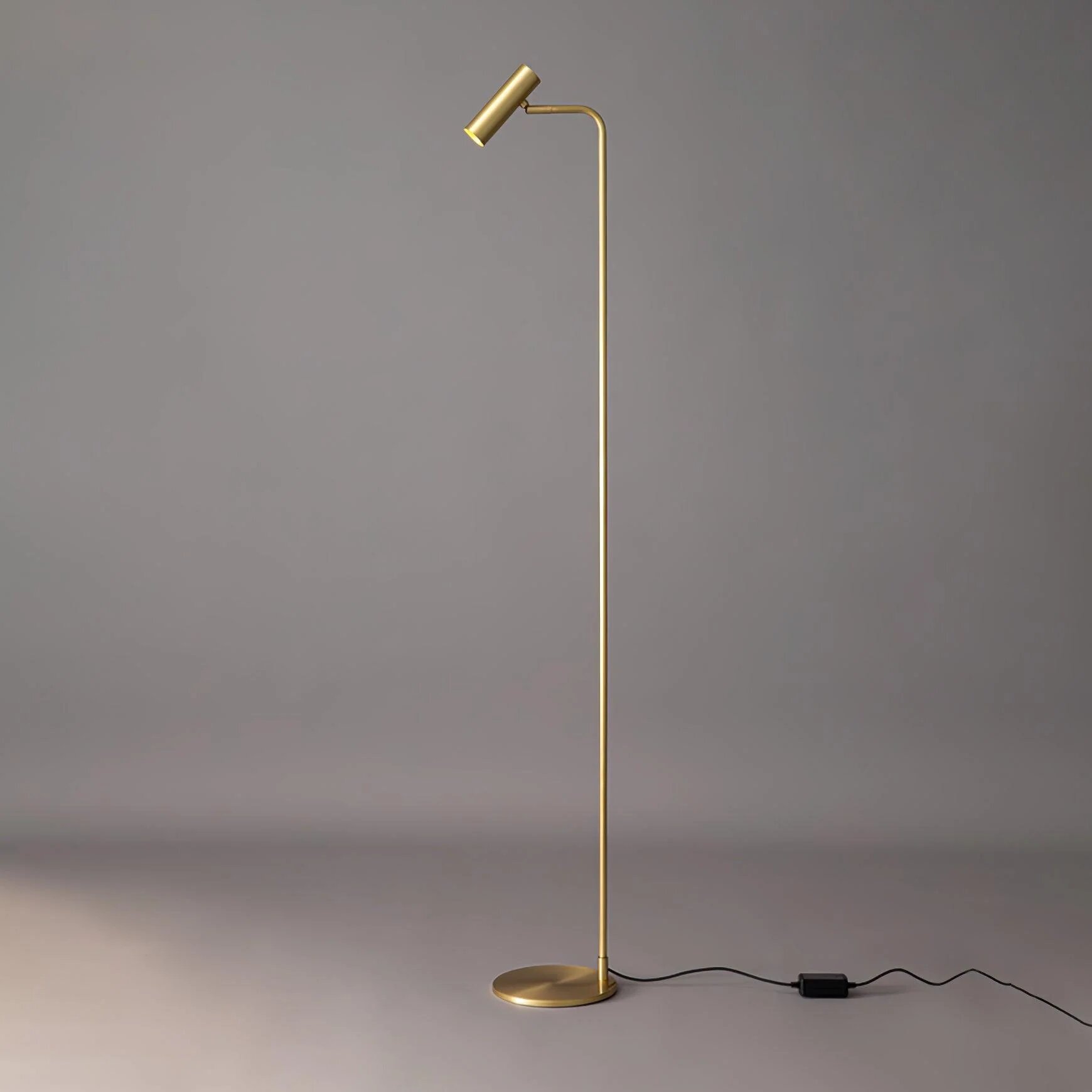 Moder LED floor lamp