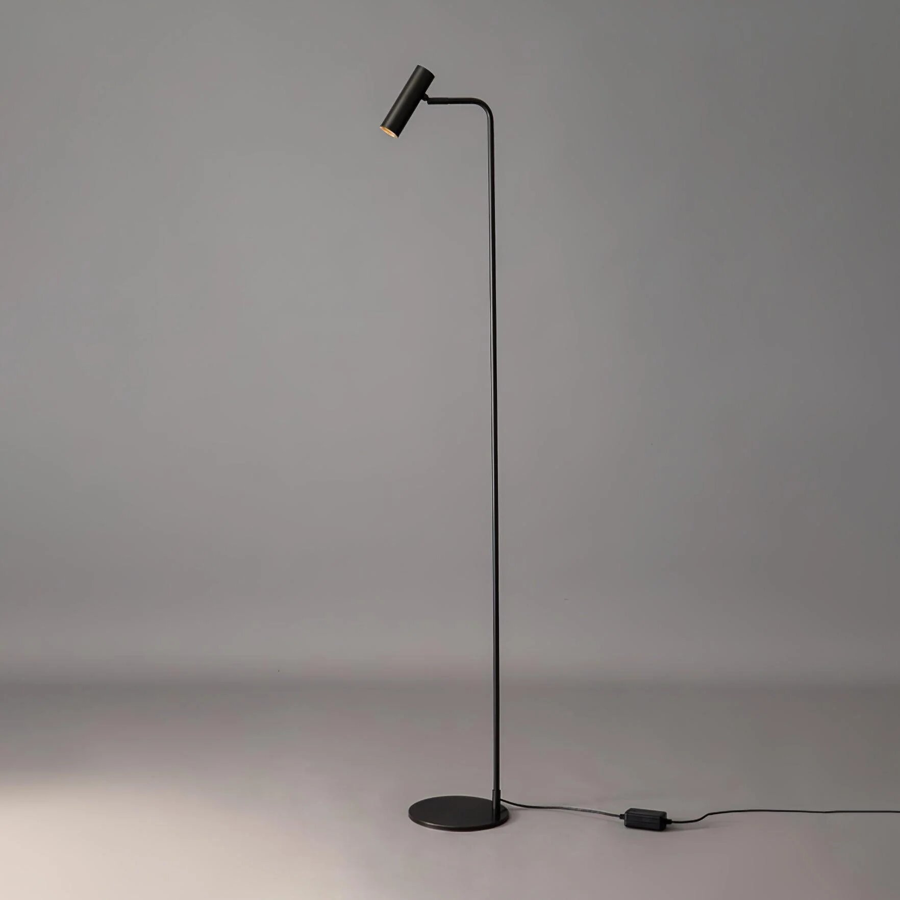 Moder LED floor lamp