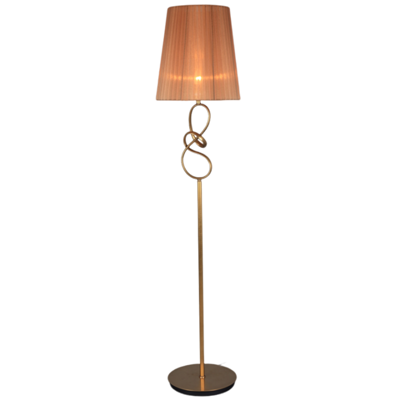 Anti-bronze Finishing Floor Lamp