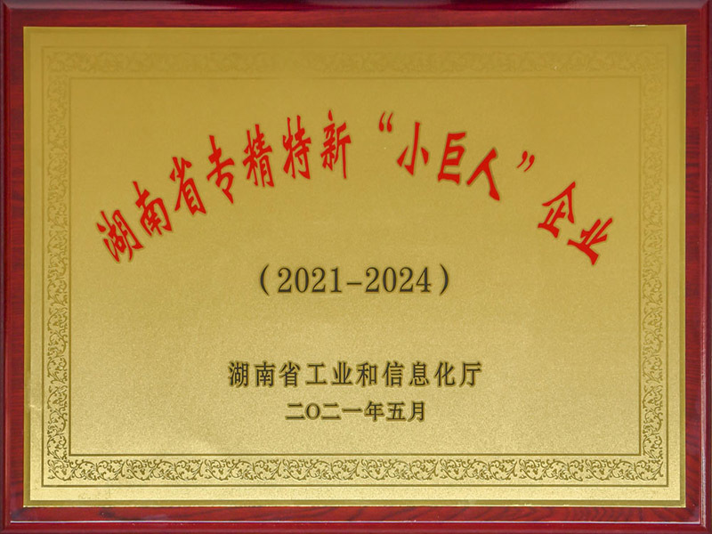 湖南省专精特新“小巨人”企业