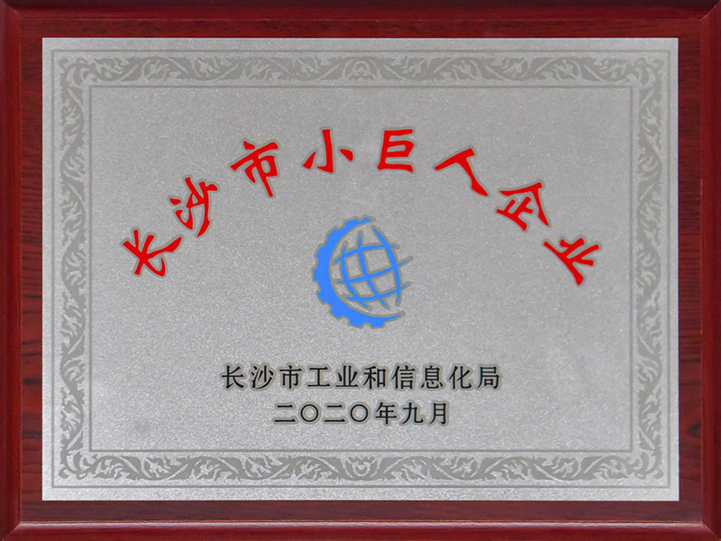 长沙市小巨人企业