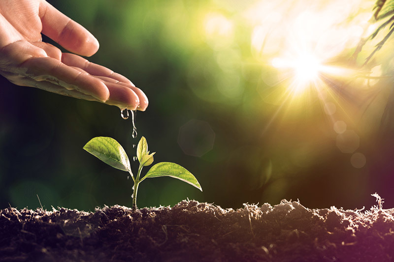 Characteristics of organic solid waste pyrolysis technology