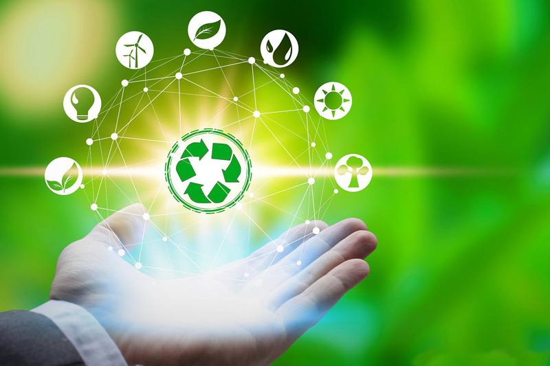 What are the new renewable energy sources
