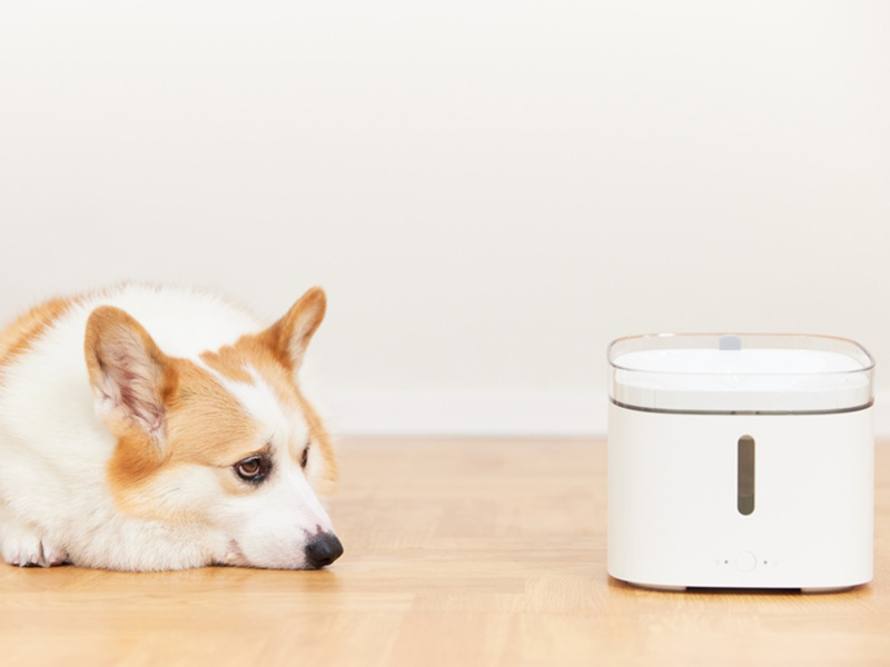 Pet Appliances