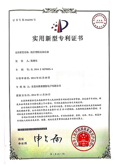 Patent Certificate 11