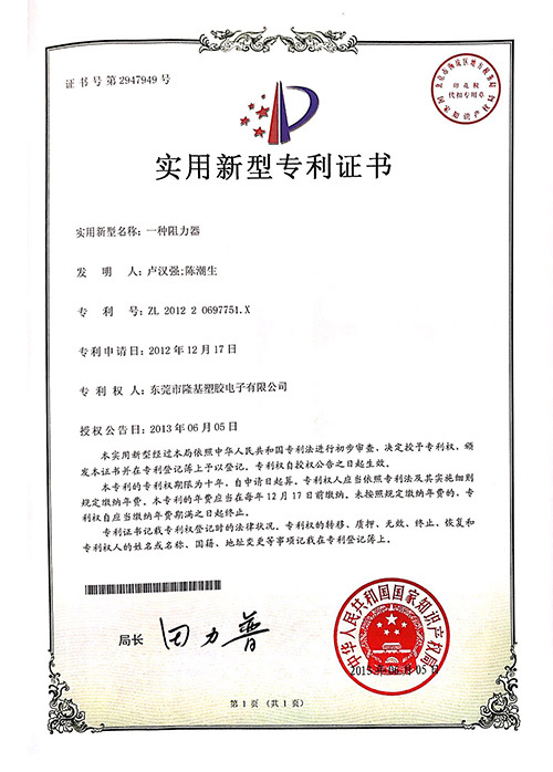 Patent Certificate 13