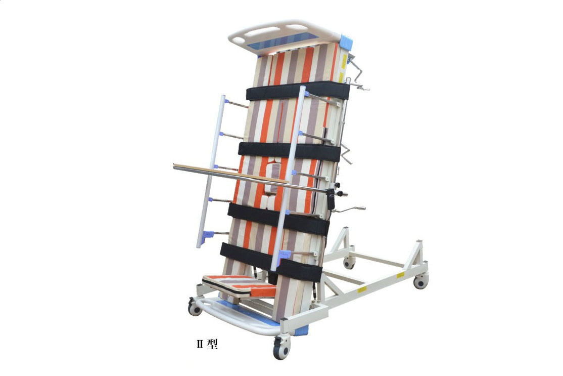 ZC-D02-6 Household multi-functional standing nursing bed (electric-manual integrated, total turnover and total bending)