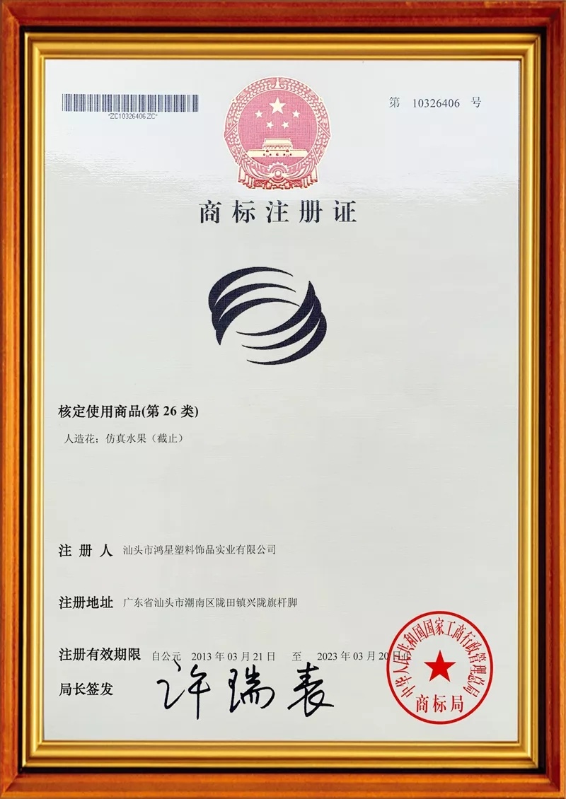 Trademark Registration Certificate
