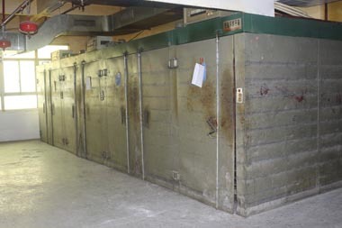 Corner of the plant