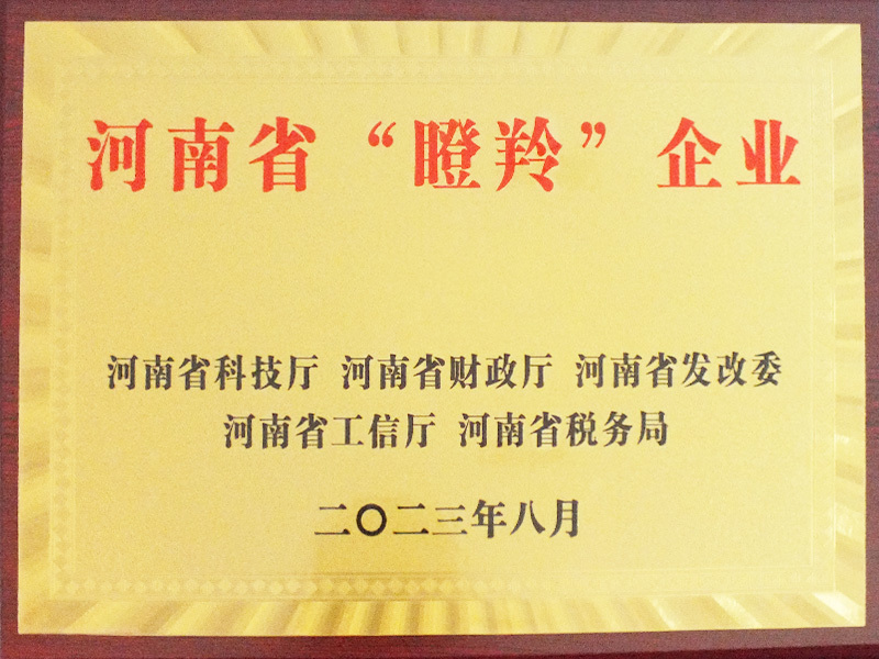 河南省瞪羚企业