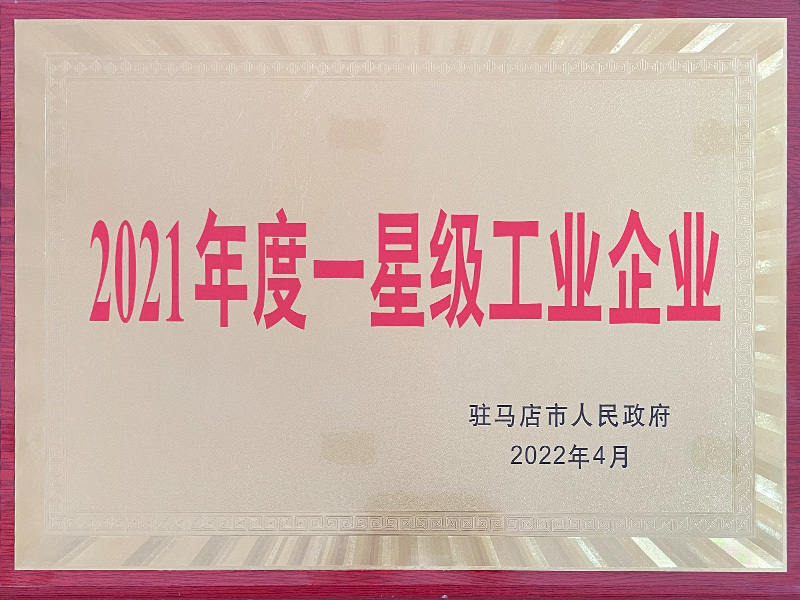 2021一星级工业企业