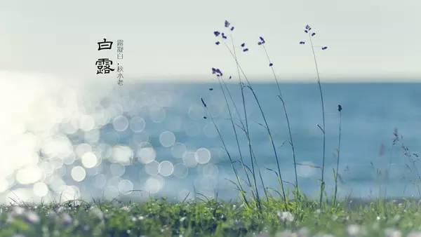 2016年，海參為您打造養(yǎng)生月歷表