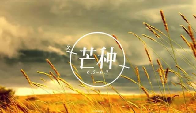 2016年，海參為您打造養(yǎng)生月歷表