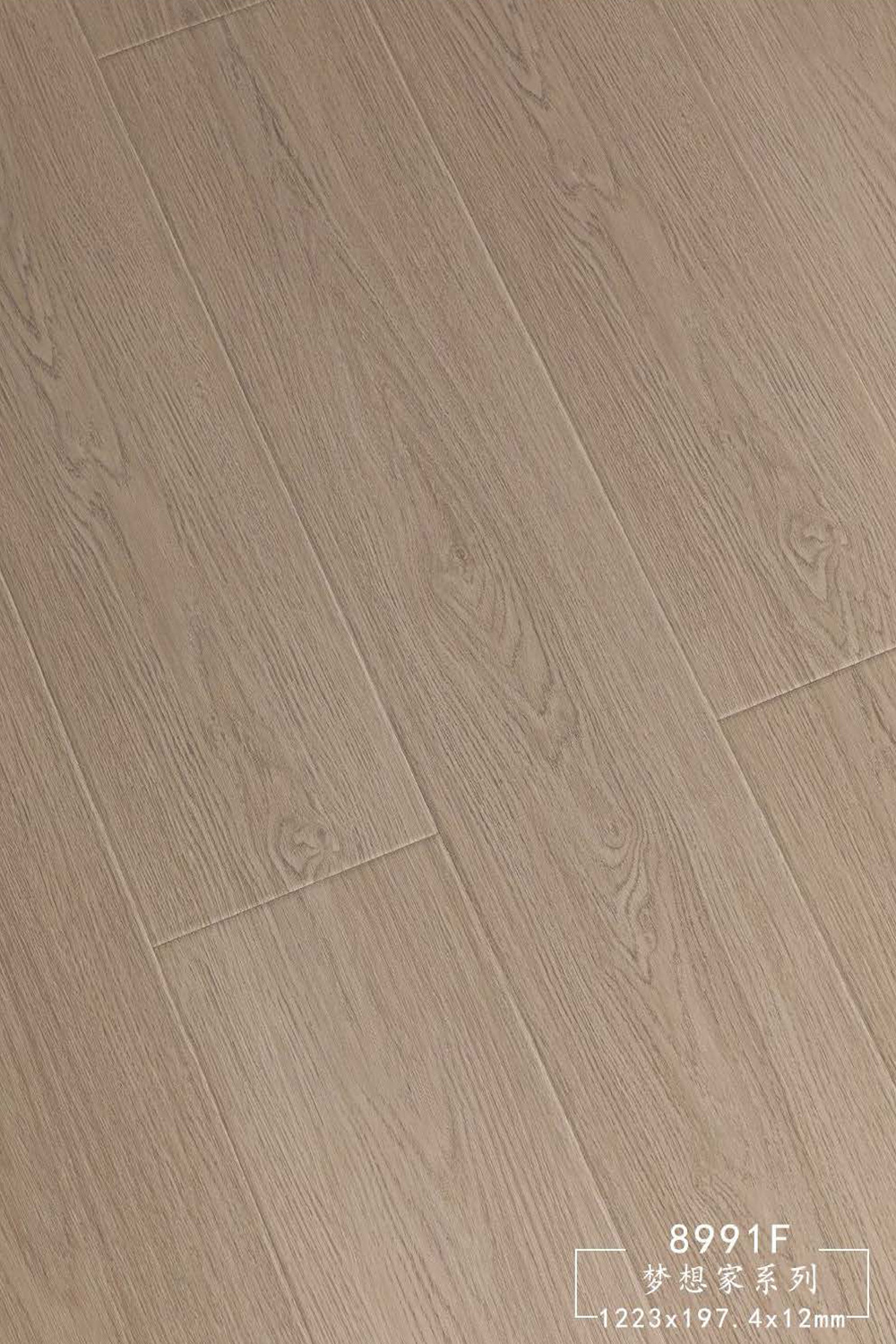 夢想家