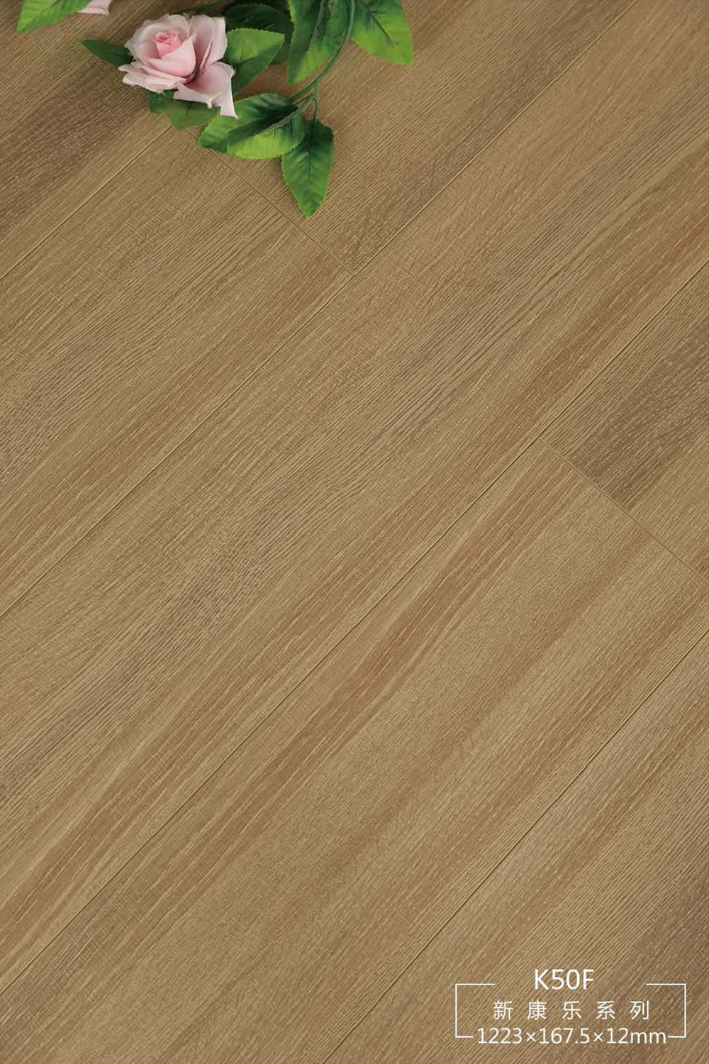 新康樂