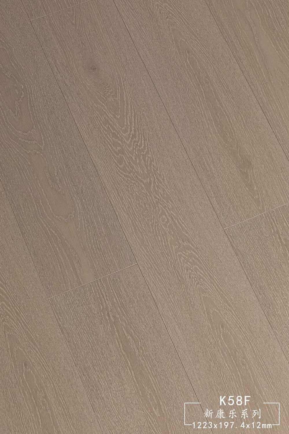 新康樂