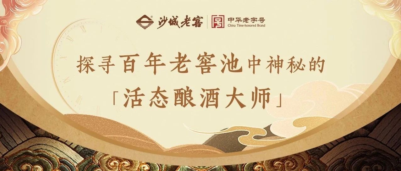 探寻百年老窖池中神秘的“活态酿酒大师” 探寻百年老窖池中神秘的“活态酿酒大师”
