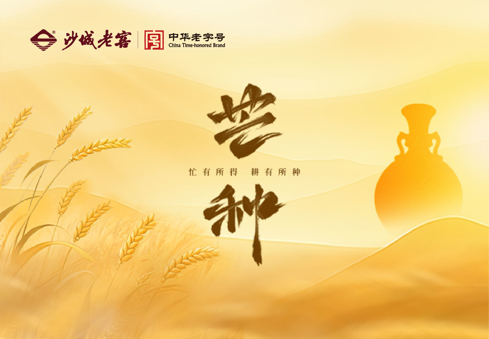 芒种丨农耕岁月里的醇香印记