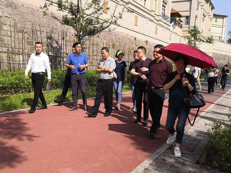 重庆市大足区建委考察两江新区绿道