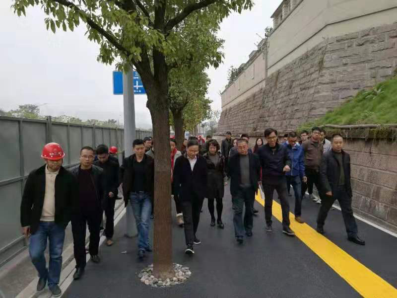 重庆两江新区领导考察我司承建的首条自行车道
