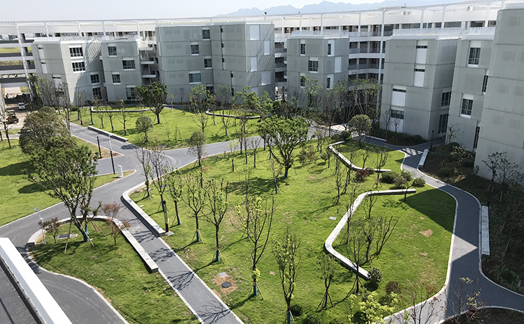 澳宝典正版资料