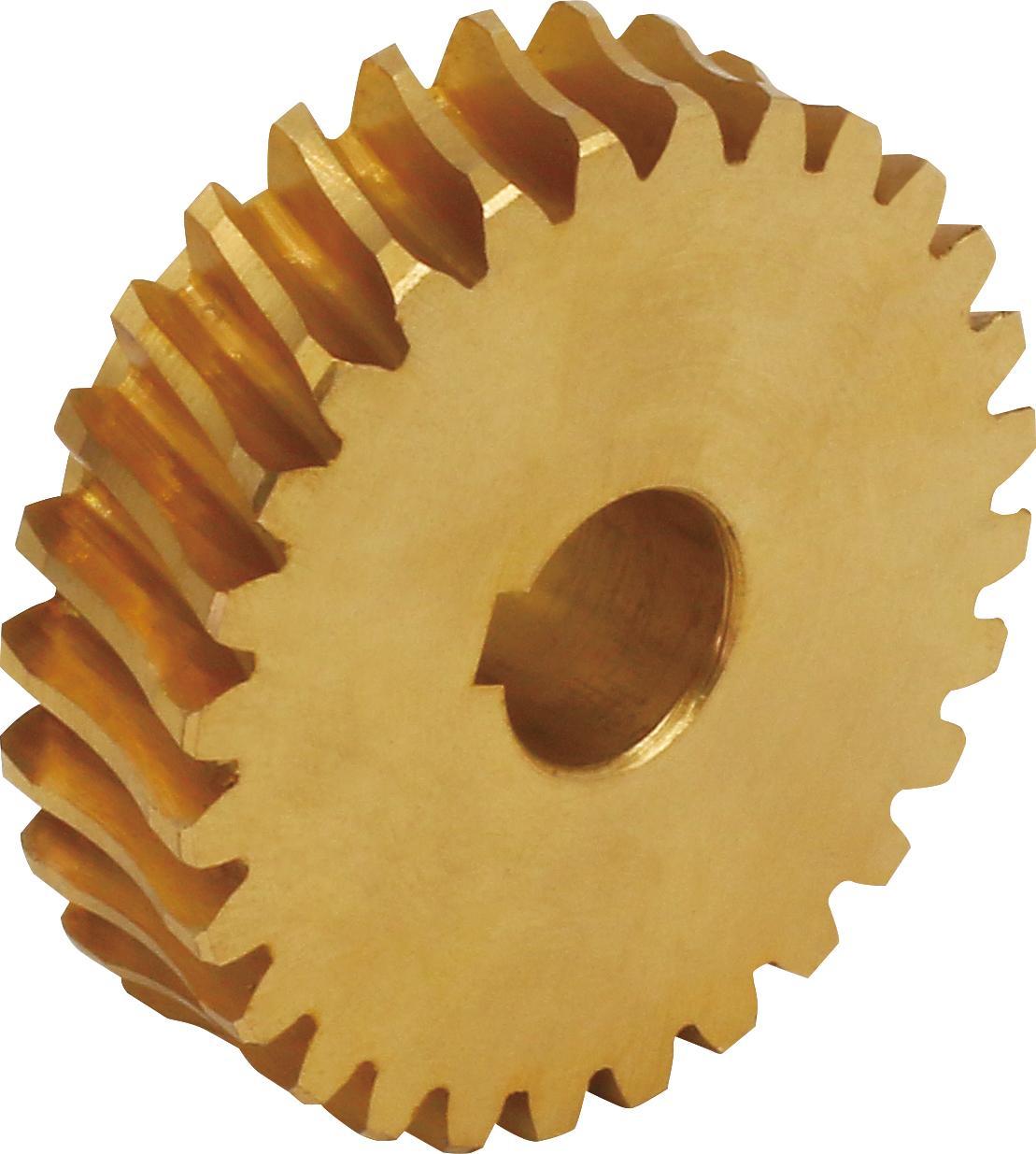 Gear Worm CQ-509071