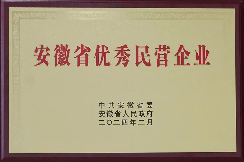 安徽省優(yōu)秀民營企業(yè)