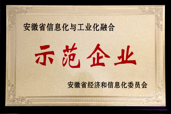 安徽省信息化與工業(yè)化融化示范企業(yè)