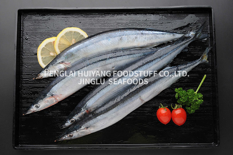 Pacific saury whole-round