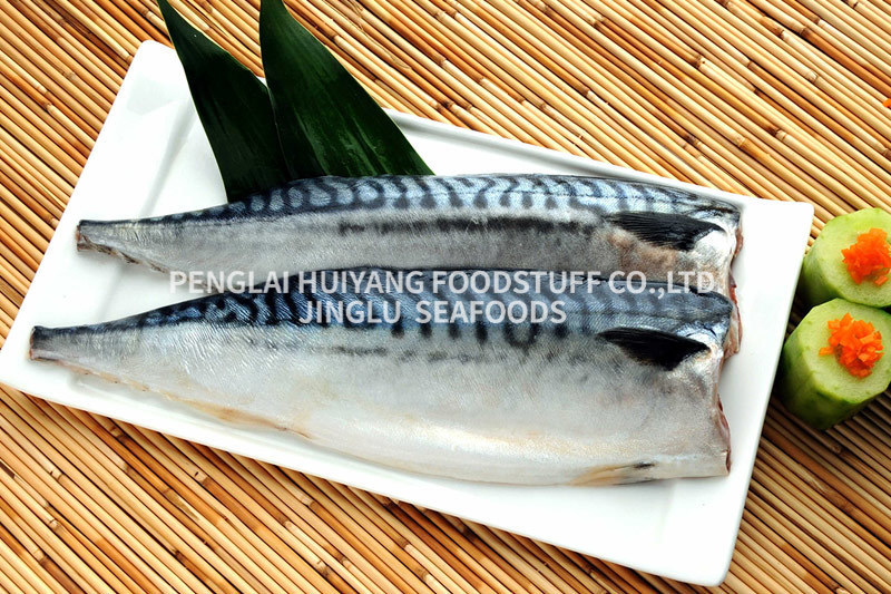 Mackerel fillet