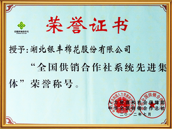 全國供銷合作社系統(tǒng)先進(jìn)集體 全國供銷合作社系統(tǒng)先進(jìn)集體