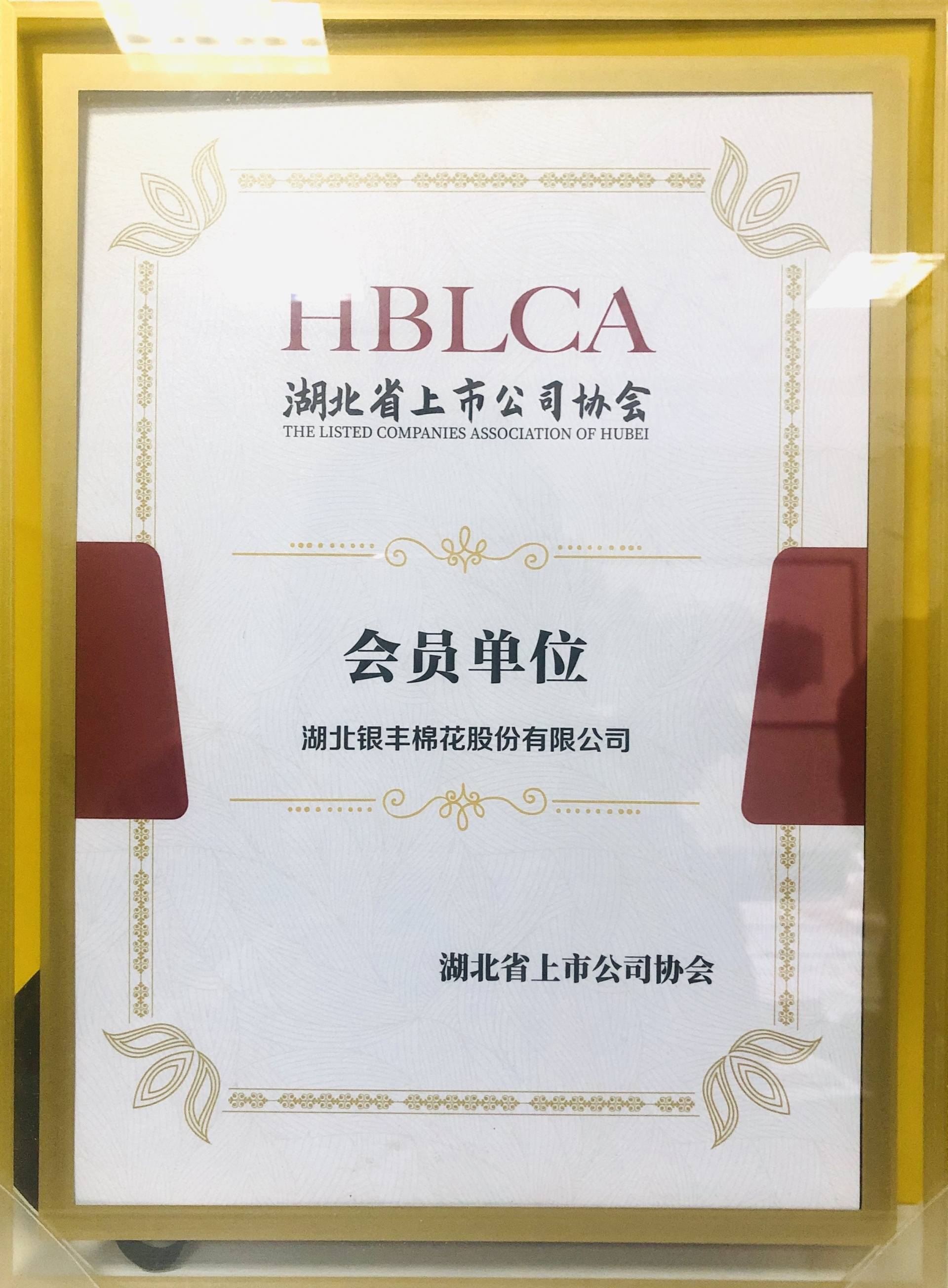 湖北省上市公司協(xié)會(huì)會(huì)員單位 湖北省上市公司協(xié)會(huì)會(huì)員單位