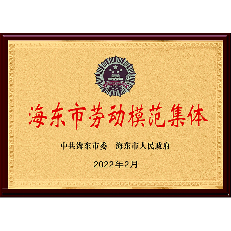 海東市勞動模范集體