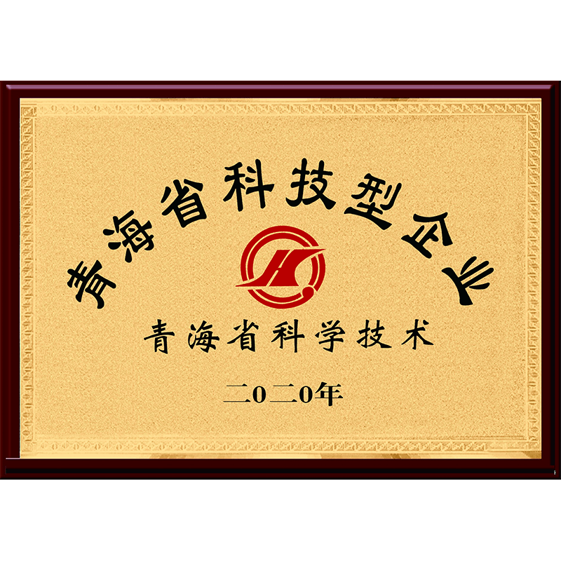 青海省科技型企業(yè)