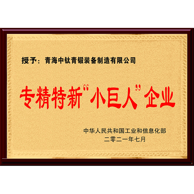 專精特新“小巨人”企業(yè)