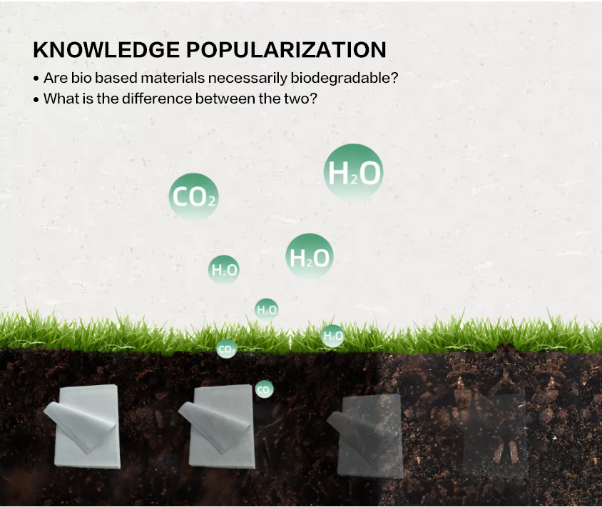 Unveiling the Truth — Are Bio-based Materials Always Biodegradable?