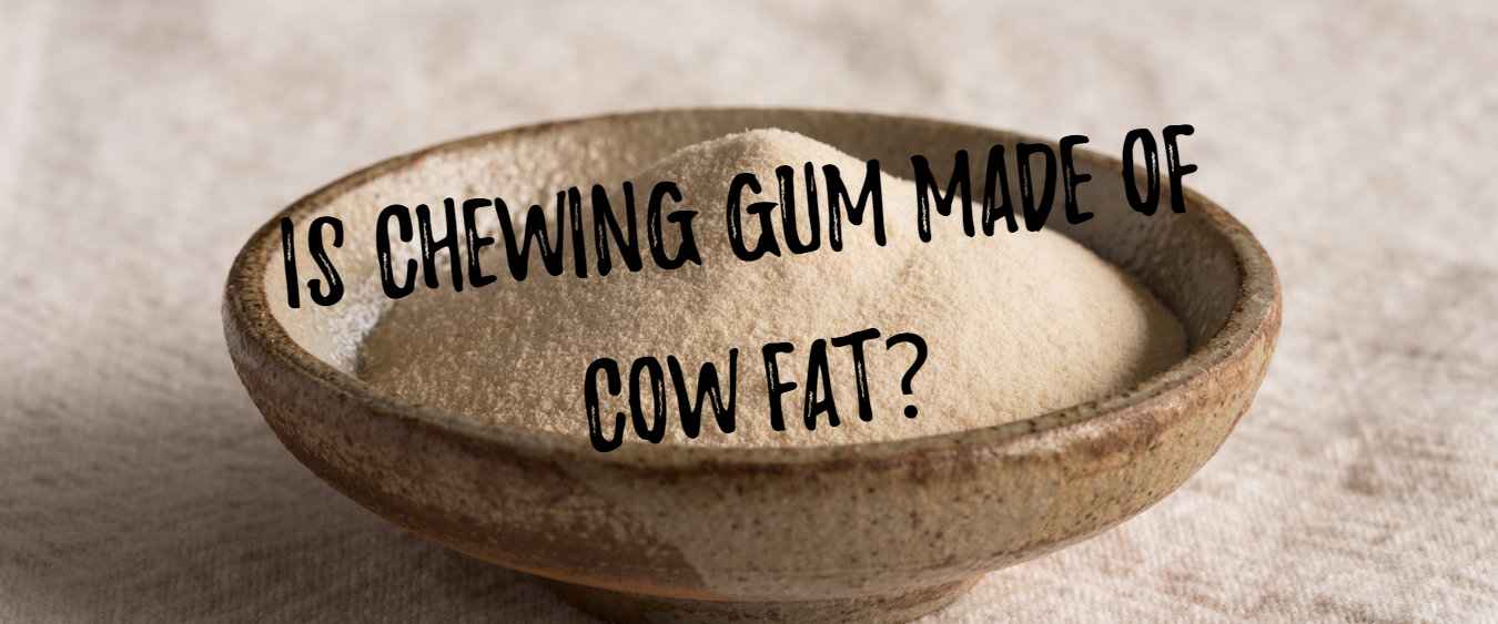 Is Chewing Gum Made of Cow Fat?