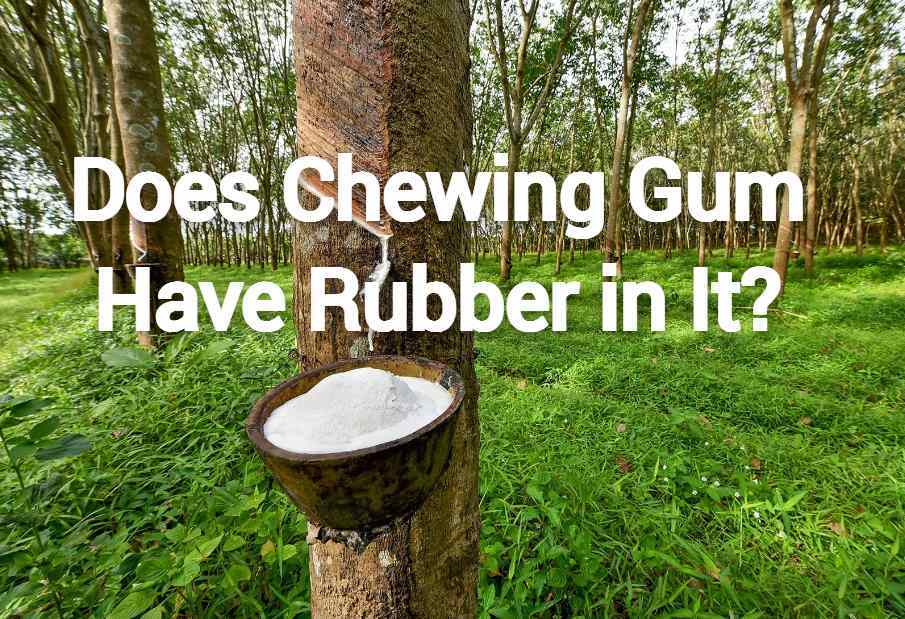 Does Chewing Gum Have Rubber in It?