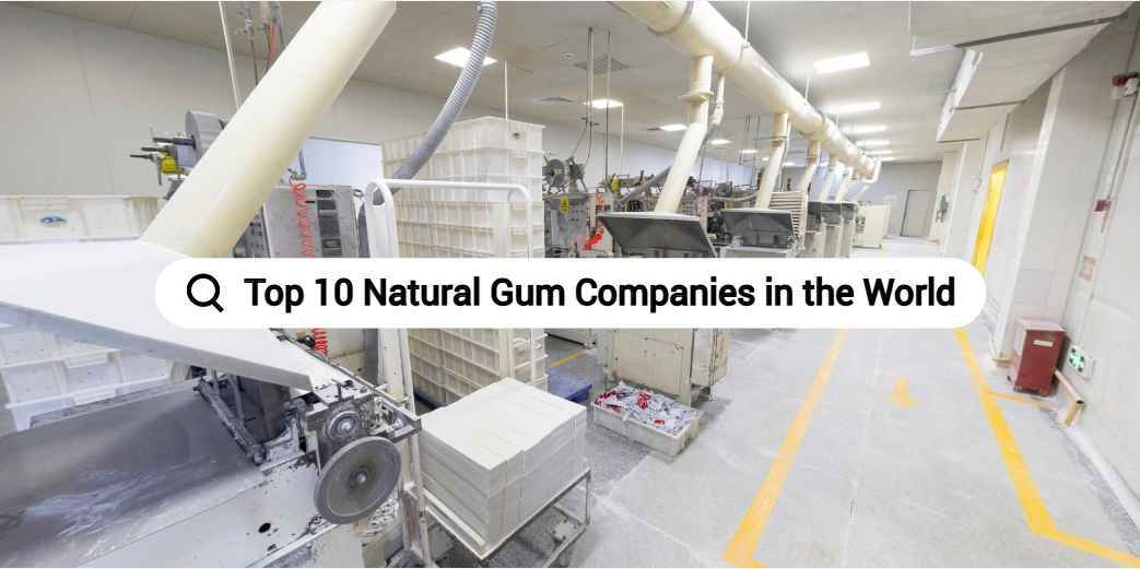 Top 10 Natural Gum Companies in the World
