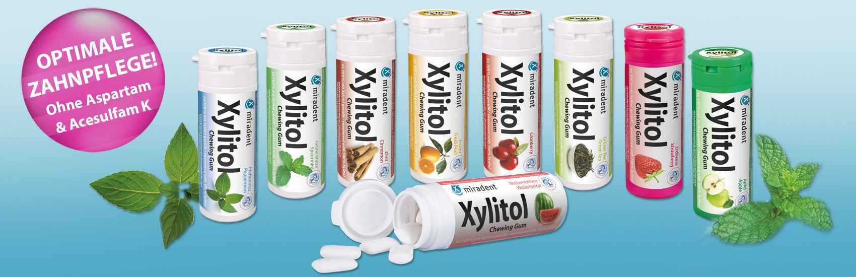 What Are the Leading Xylitol Gum Manufacturers?