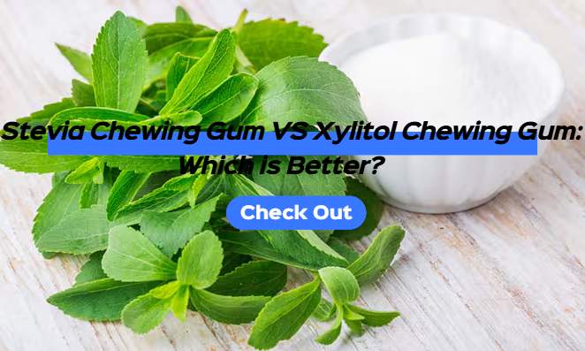 Stevia Chewing Gum VS Xylitol Chewing Gum: Which is Better?