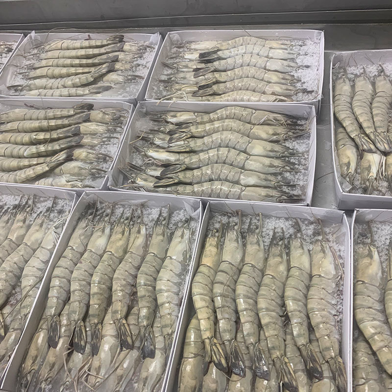 马来西亚黑虎虾