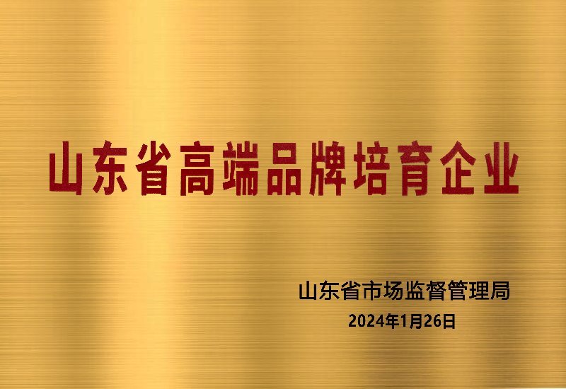 山东高端品牌培育企业