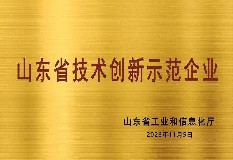 山东省技术创新示范企业