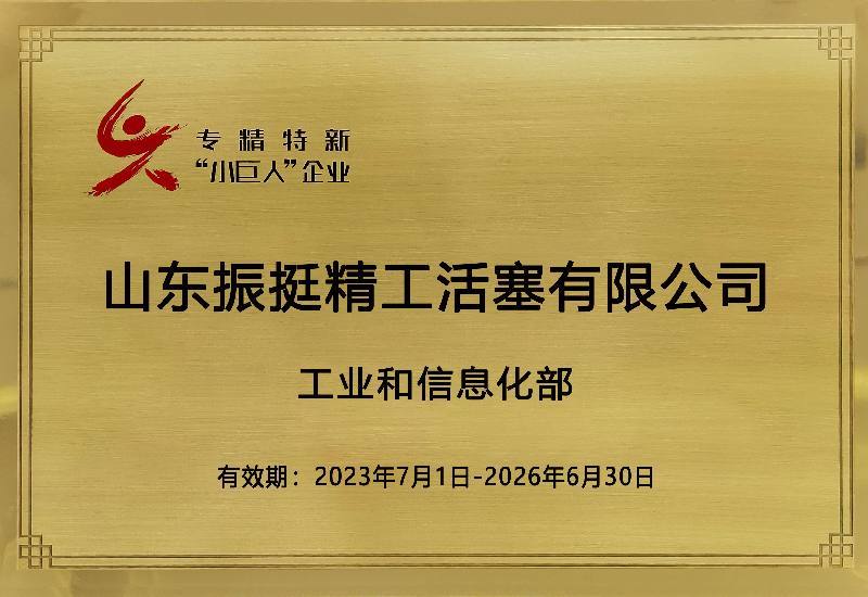 专精特新小巨人