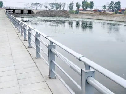 Barandilla del canal